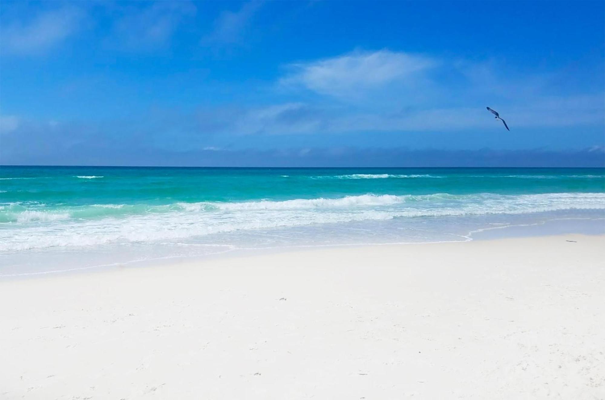 Majestic Beach Towers 1-2109 Panama City Beach Bagian luar foto